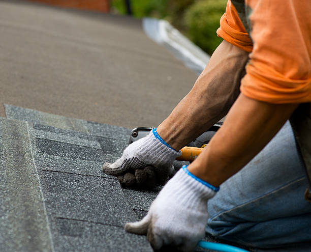 Roof Gutter Cleaning in David City, NE